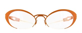 Frost Eyeglasses