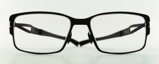 Frost Eyeglasses