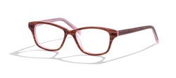 Bevel Eyewear Collection