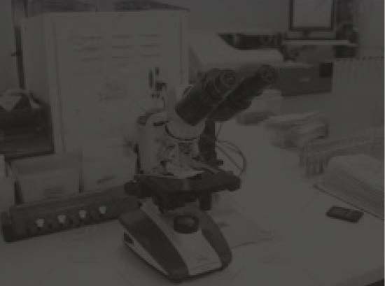 Erker's Optical Laboratory in 1900 Award Winning Optical Laboratory in 1900