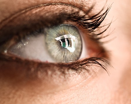 Accurate Vision Prescription Vision Prescription at Erker's